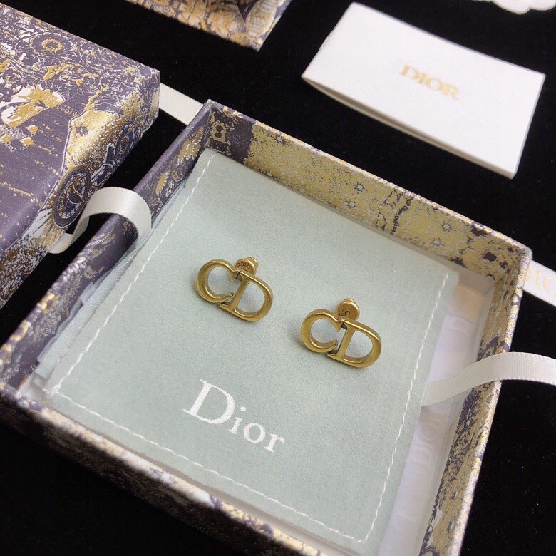Dior Earring 05lyr565
